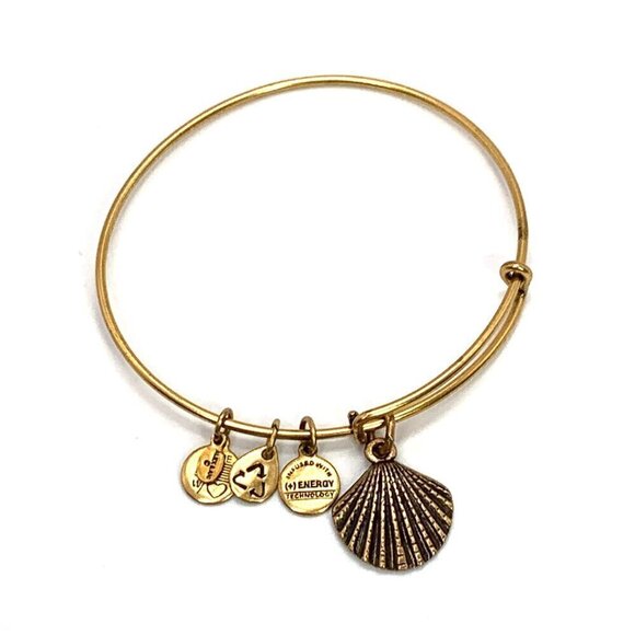 Alex and Ani Seashell Charm Bracelet Silver Gold Finish - Expands 2"- 3.5" - Picture 2 of 4